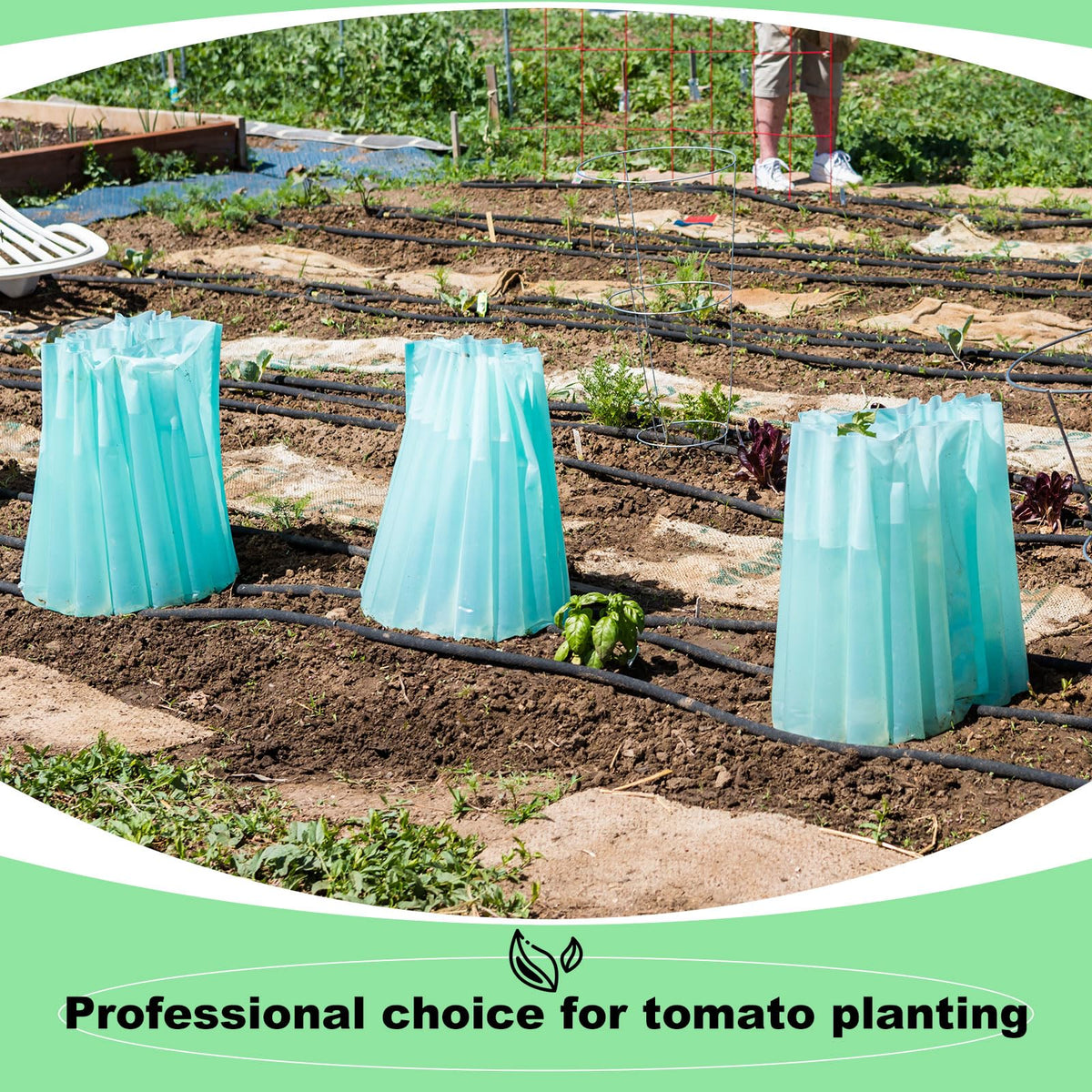 Geetery garden setup showing early-season protection for healthy growth.