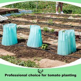Geetery garden setup showing early-season protection for healthy growth.