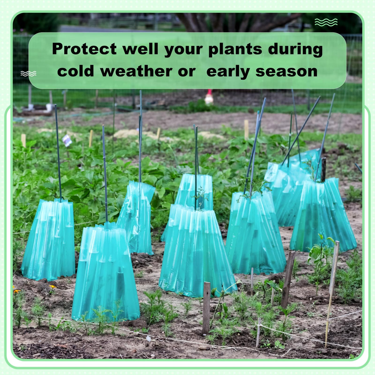 Geetery reusable plastic plant insulator designed for durable, repeat use.