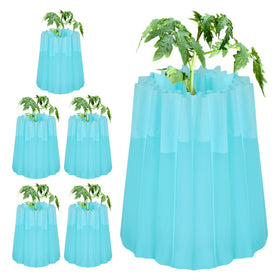 Geetery wall-of-water 6-pack ready to protect garden crops from frost.