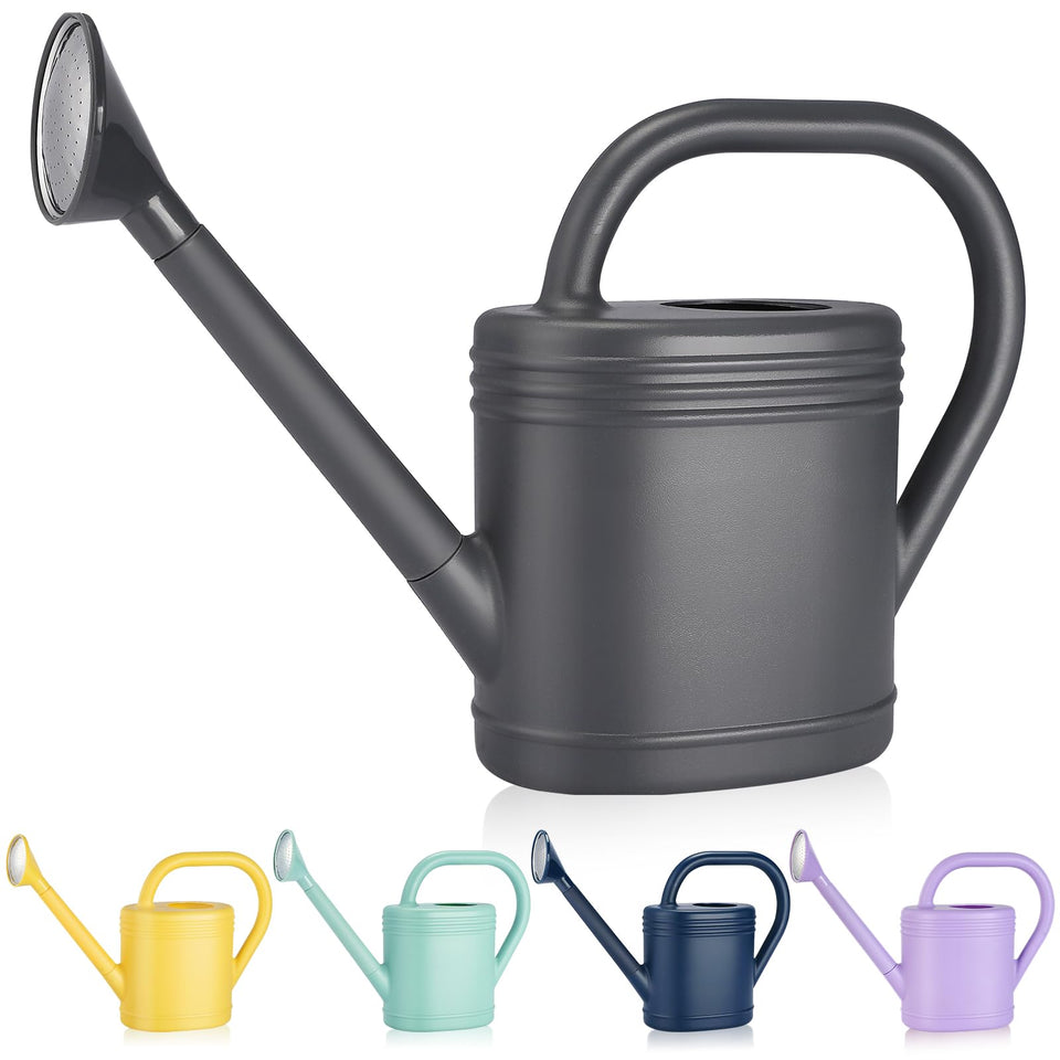 Gegemaoyi 1 gallon watering can with long spout for precise indoor watering.