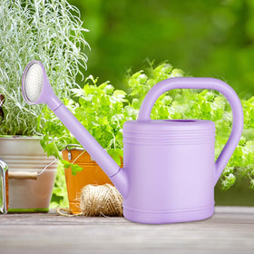 gegemaoyi stylish indoor-outdoor water can for home greenery