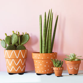 Geiserailie indoors outdoors pads provide discreet stability for potted plants.