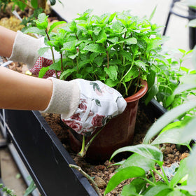 Geiserailie multi-purpose gloves for planting pruning and watering
