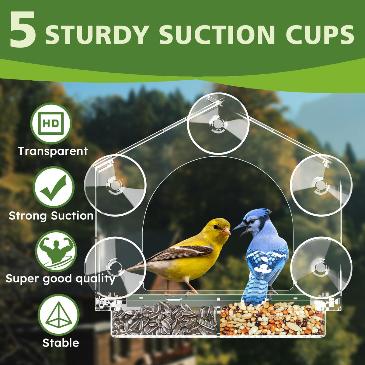 GelinRedcap clear viewing area highlights birds during backyard watching