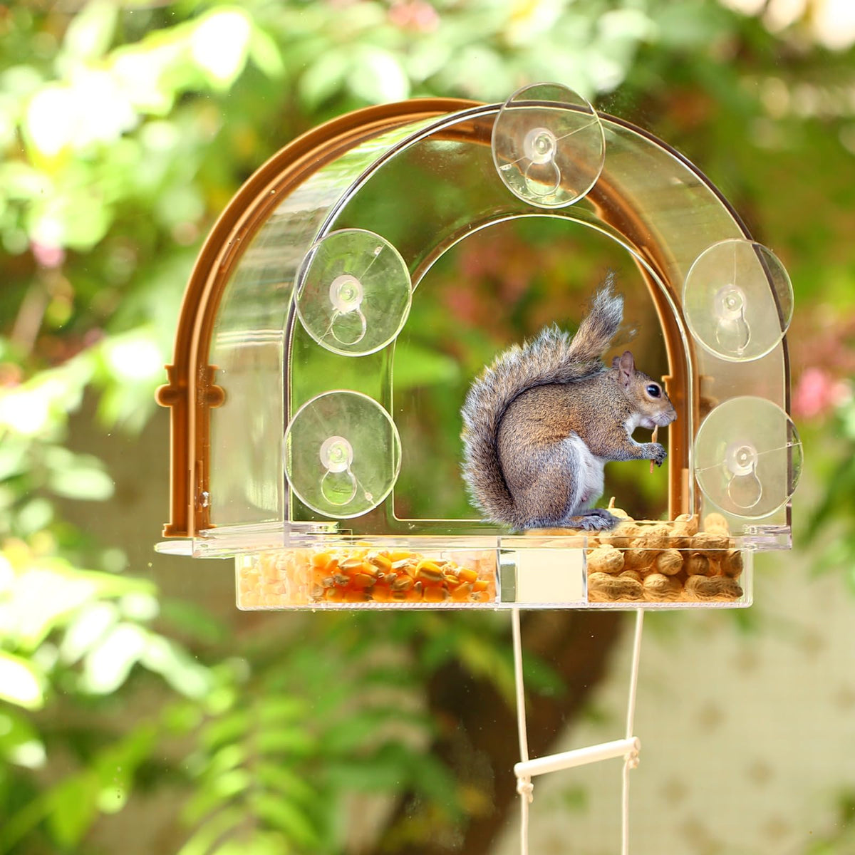 GelinRedcap Window Squirrel Feeder easy to clean after visits with slide-out tray.