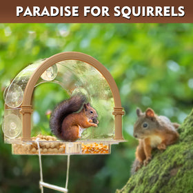 GelinRedcap Window Squirrel Feeder designed for outdoor windows to enjoy birds from inside.