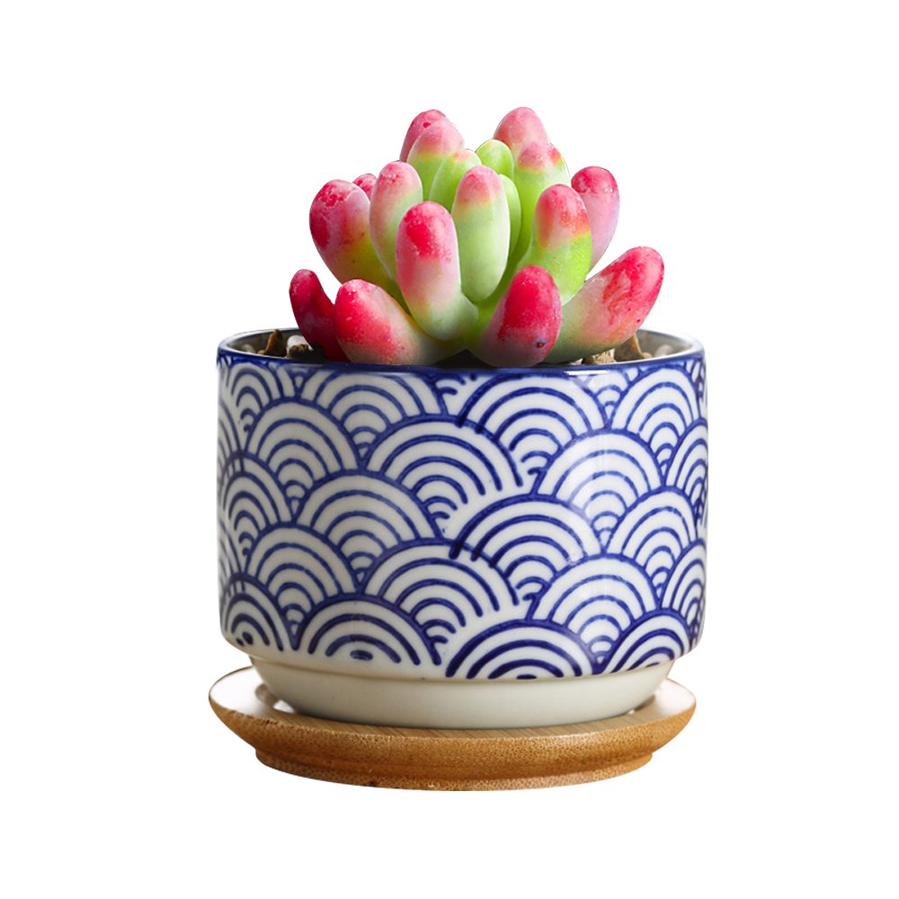 GeLive blue flower-pattern ceramic pot ideal for small succulents.