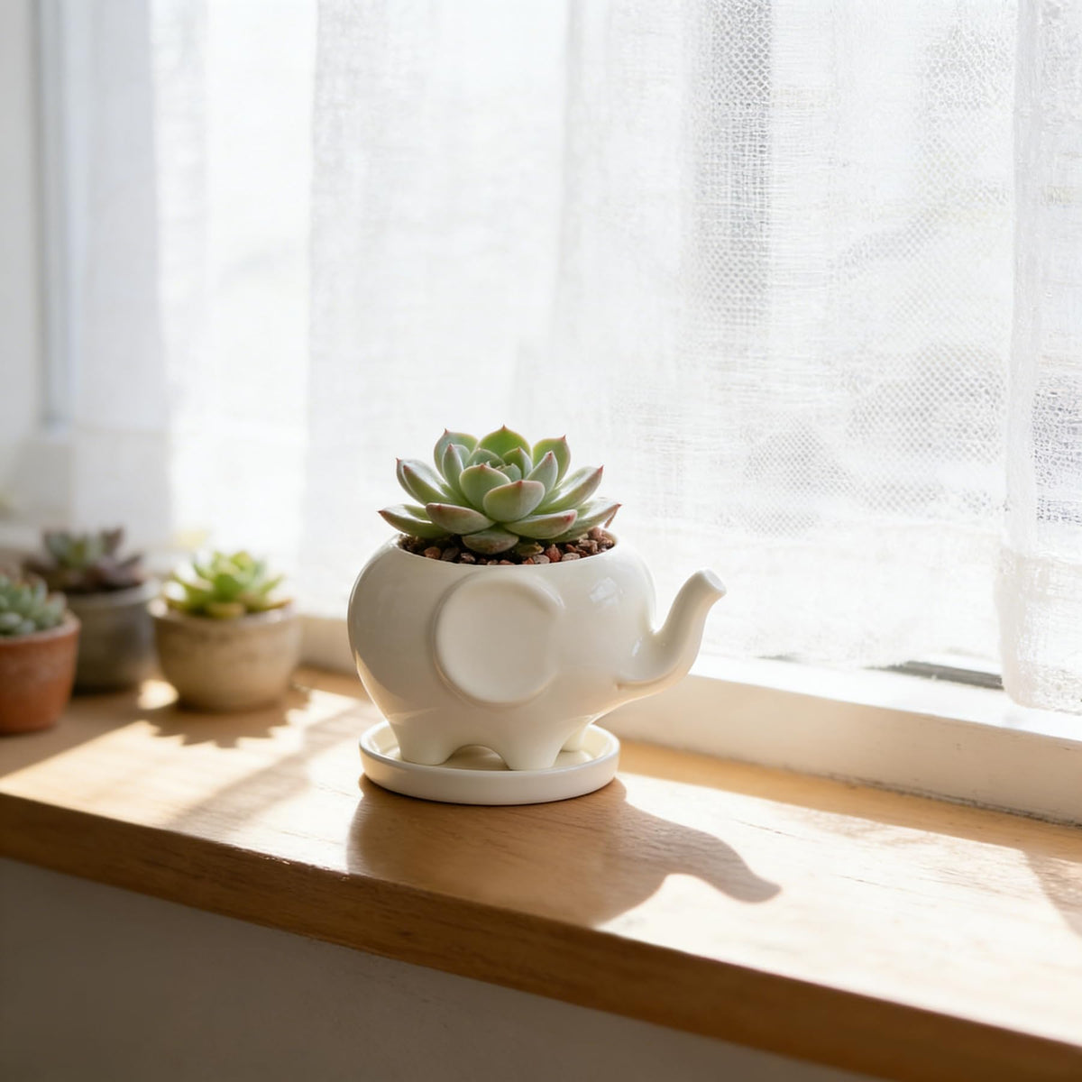 GeLive ceramic succulent pot with elephant detail adds playful decor.