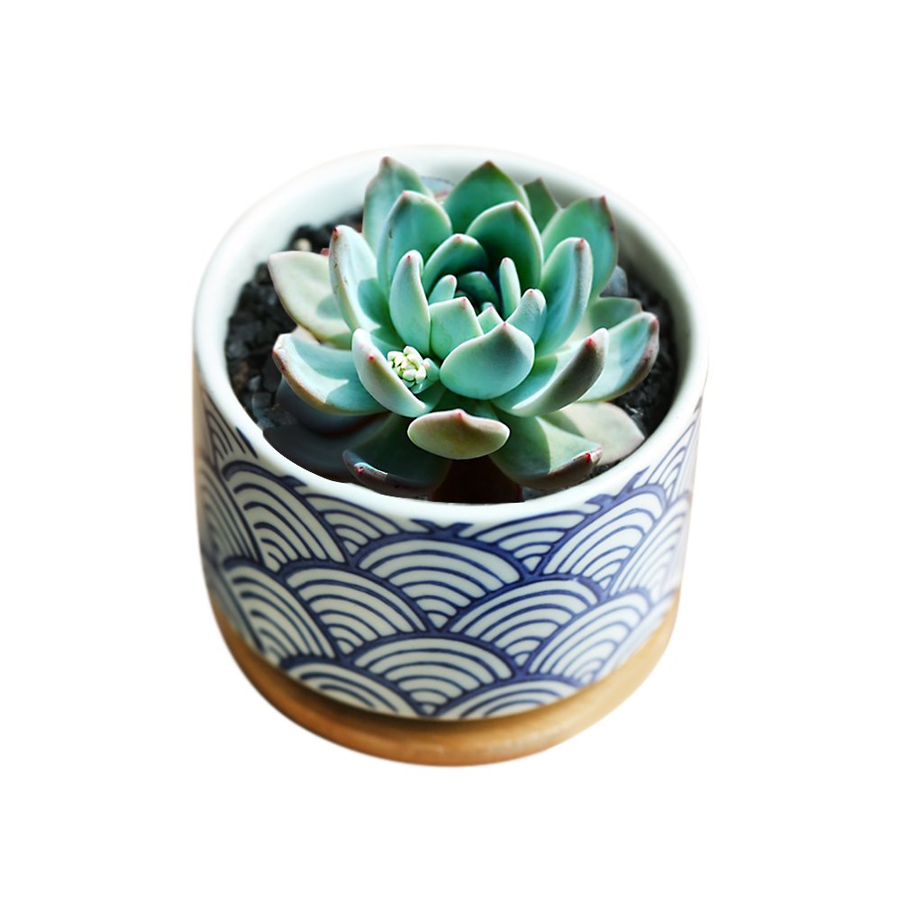 GeLive desk décor with planter enhances modern living spaces.