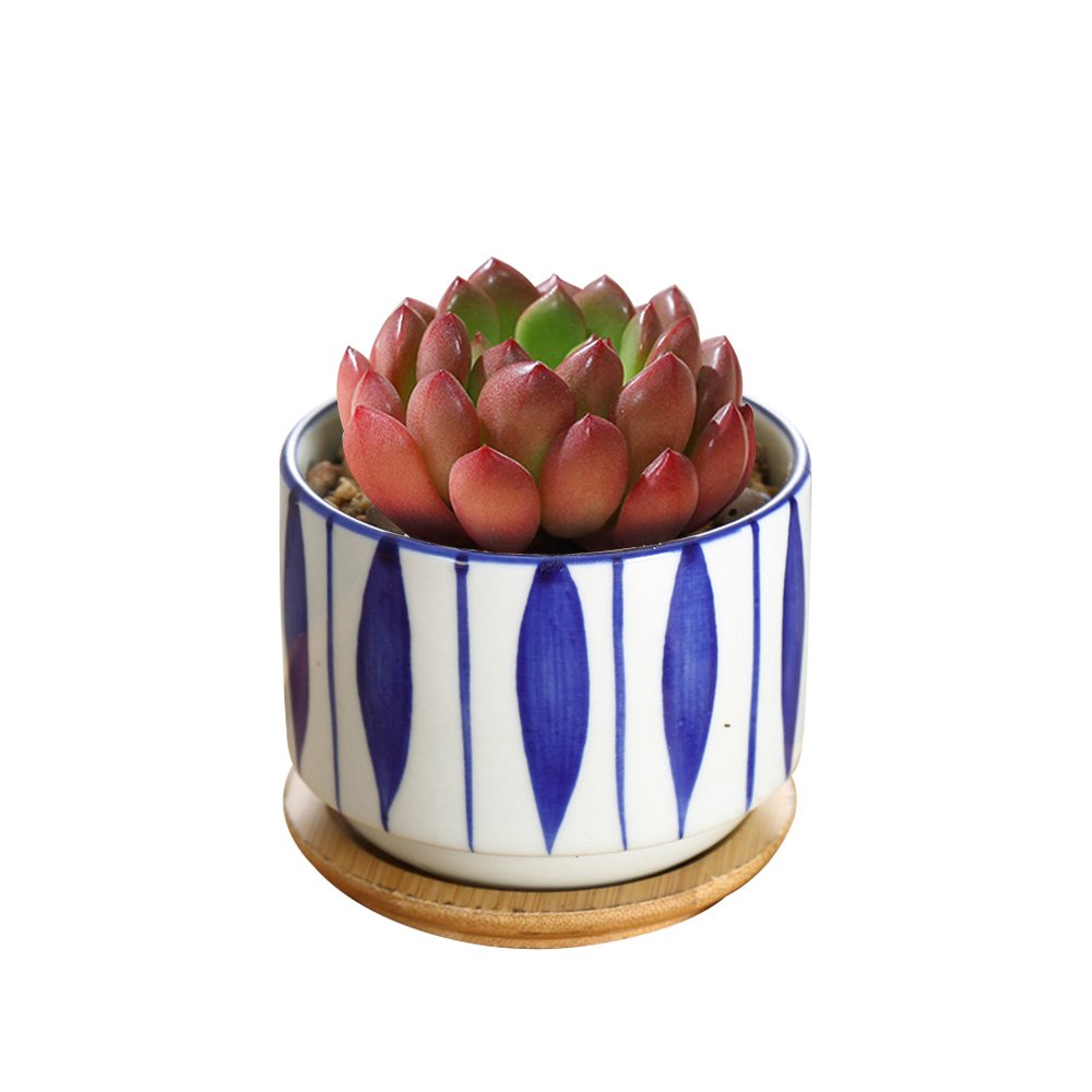 GeLive indoor-outdoor planter fits patios, balconies, and windowsills.
