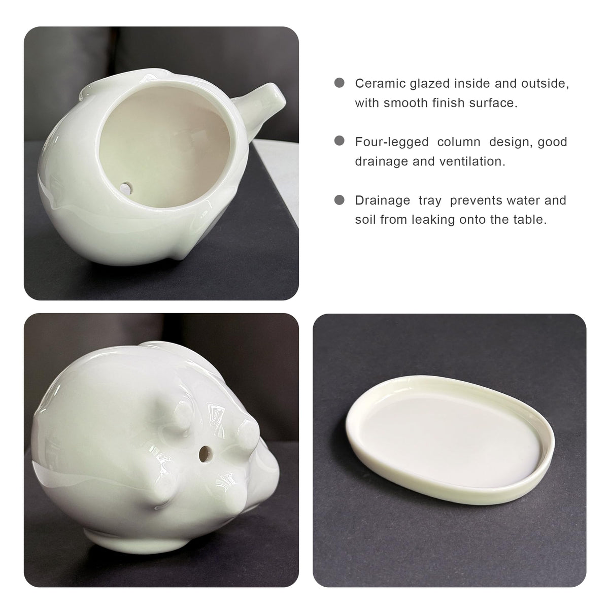 GeLive White Elephant window box with saucer keeps surfaces clean.