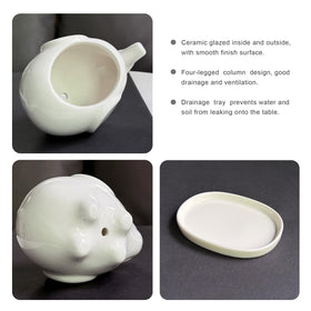 GeLive White Elephant window box with saucer keeps surfaces clean.