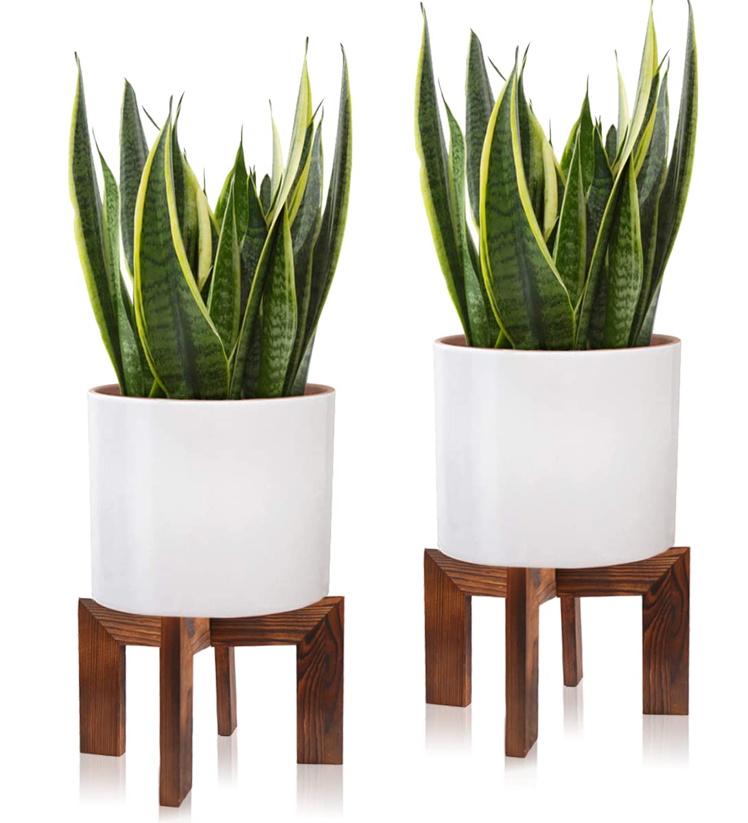 Gendral Forwepup plant stand with 7in height for versatile indoor display.
