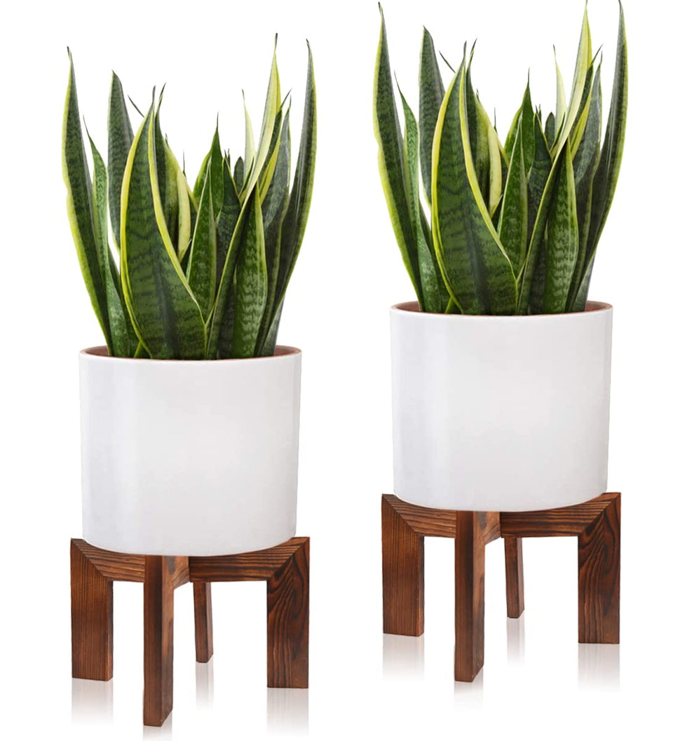 Gendral Forwepup plant stand with 7in height for versatile indoor display.