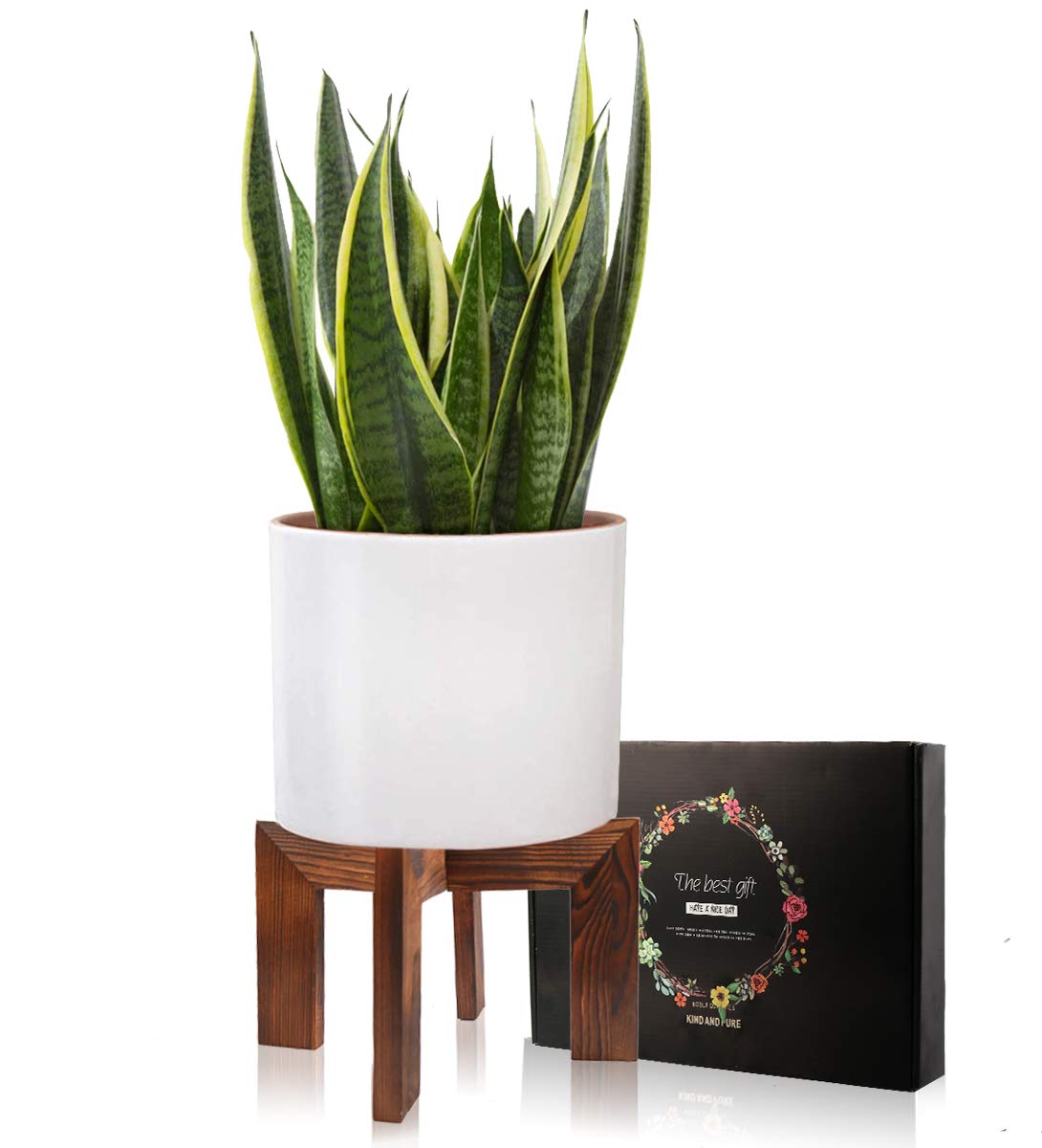 Gendral Forwepup wood plant stand side view shows sturdy four-leg support.