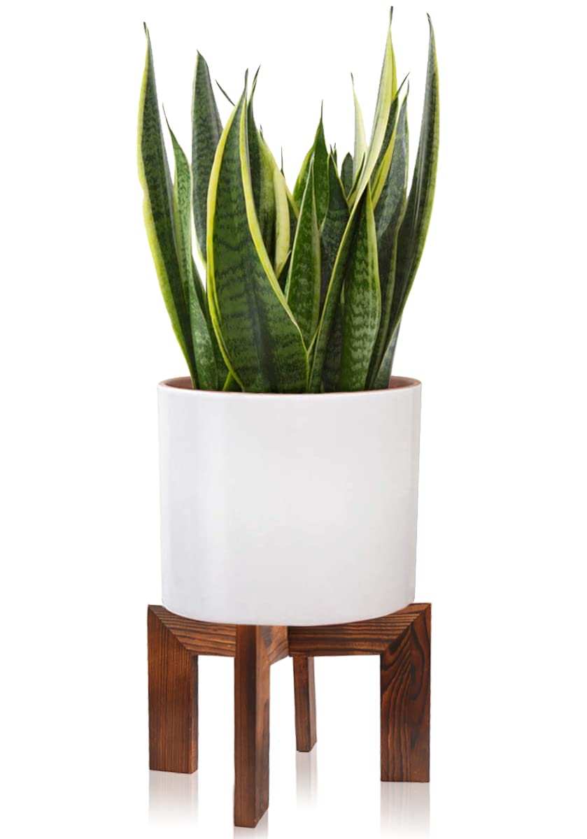Gendral Forwepup wood plant stand top view demonstrates compact mid-century design for small spaces.