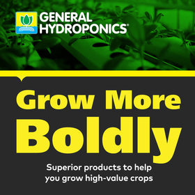 General Hydroponics CALiMAGic supports lush lettuce growth.