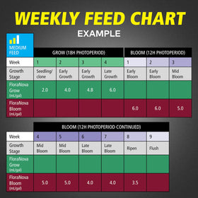 General Hydroponics FloraNova Grow seedlings responding to balanced nutrition