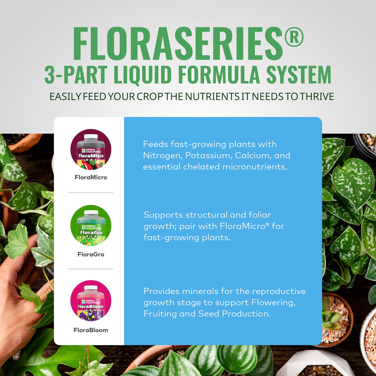 General Hydroponics FloraBloom bottle designed to boost flowering and fruiting