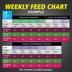 General Hydroponics FloraSeries full feed mix ready for a customized schedule.
