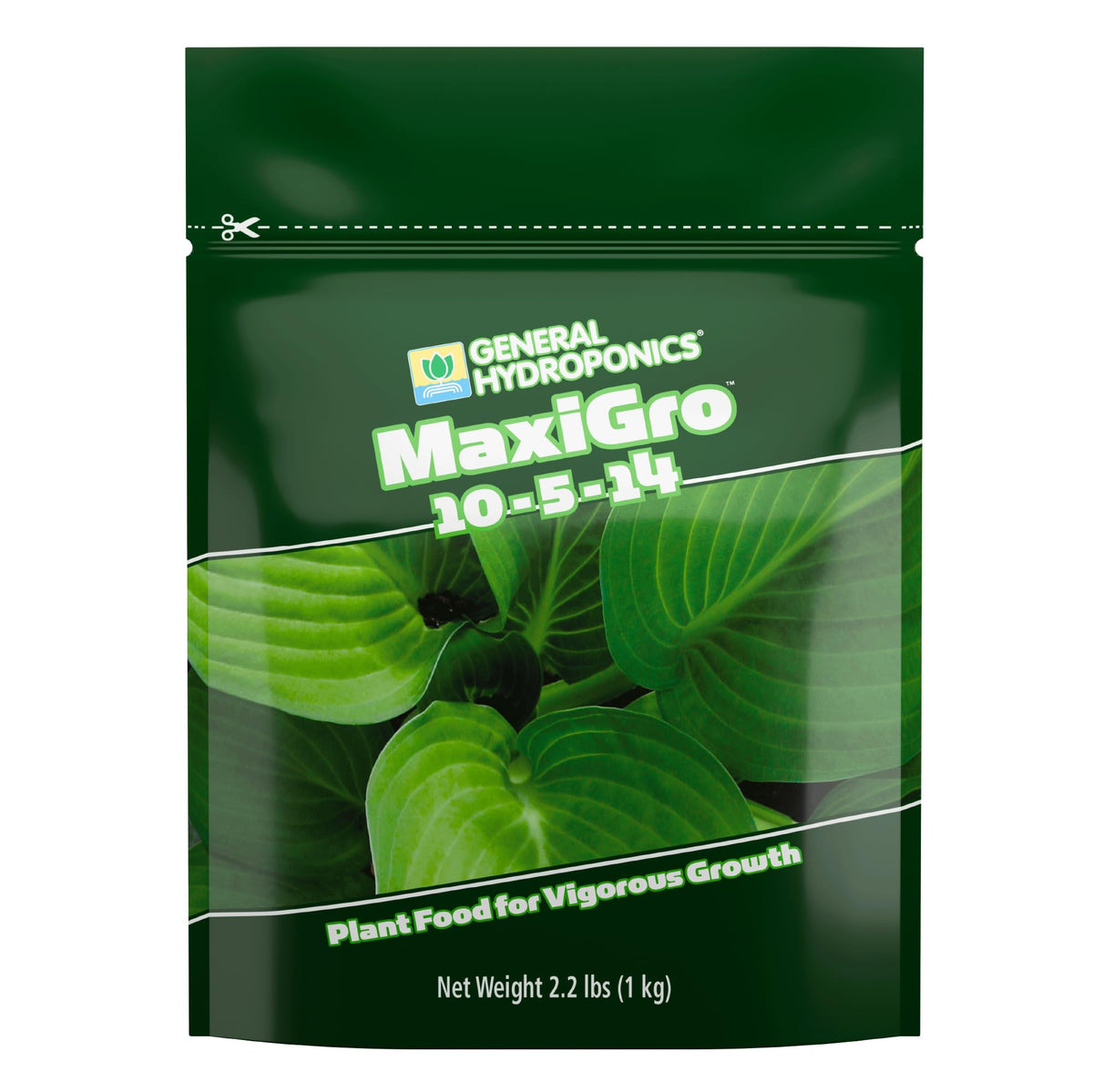 General Hydroponics MaxiGro bottle pour shows precise dosing for strong seedlings.