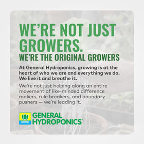 General Hydroponics MaxiGro in a hydroponic system supporting vegetative growth.