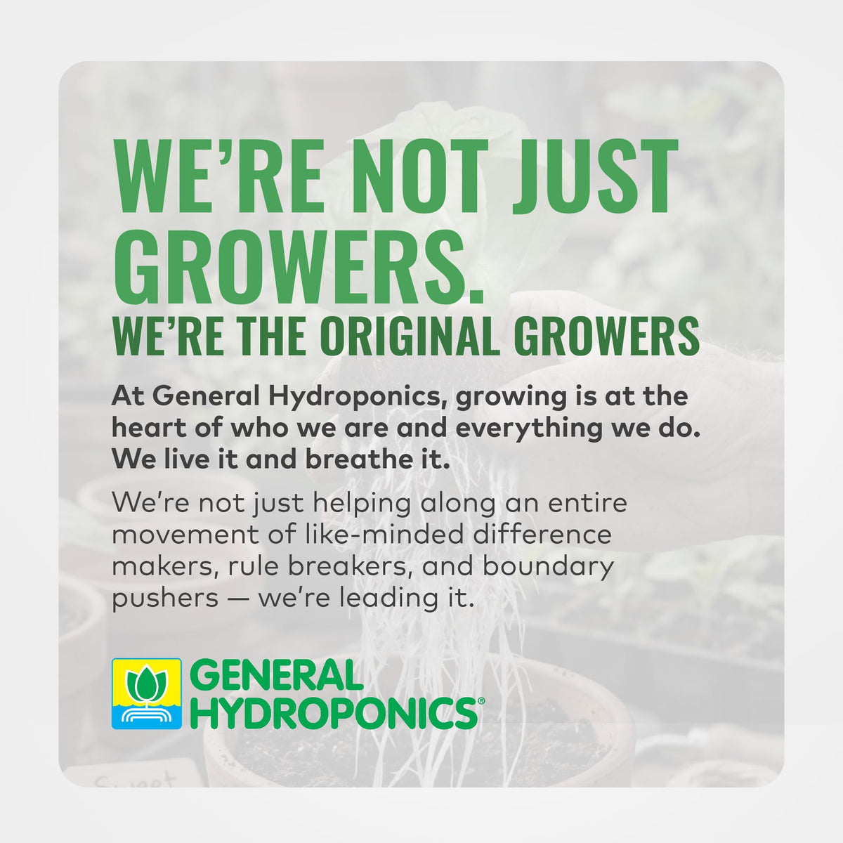 General Hydroponics pH Down in hydroponic reservoir during adjustment