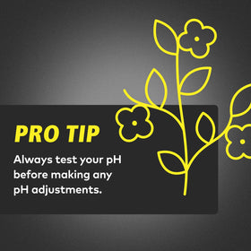 General Hydroponics pH Up in reservoir suggests stabilized nutrient solution.