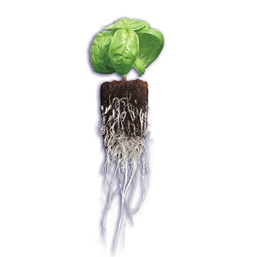 General Hydroponics Rapid Rooter cross-section illustrating air-water balance for root growth