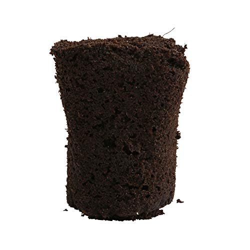 General Hydroponics Rapid Rooter plug for cuttings promoting strong root emergence