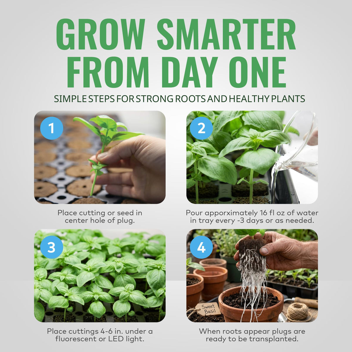 General Hydroponics Rapid Rooter plug in starter tray with visible roots.
