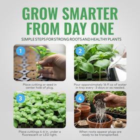 General Hydroponics Rapid Rooter plug in starter tray with visible roots.