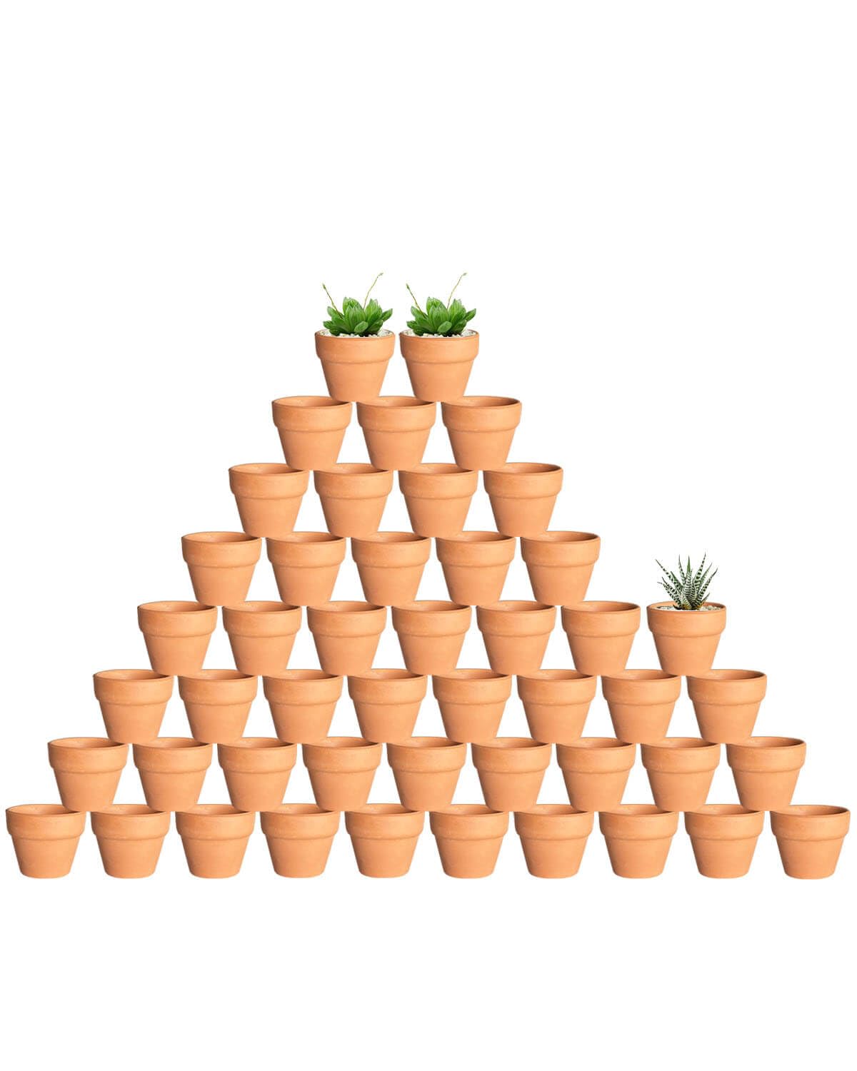 Generic 2-inch terracotta pot with drainage hole for healthy plant care.