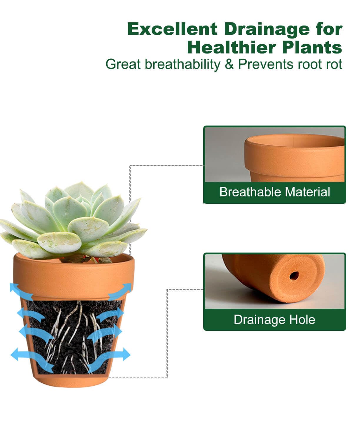 Generic 2-inch terracotta pot in unglazed finish for elegant indoor display.