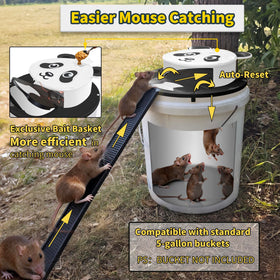 Generic 2-pack trap ready for outdoor and indoor use with easy setup