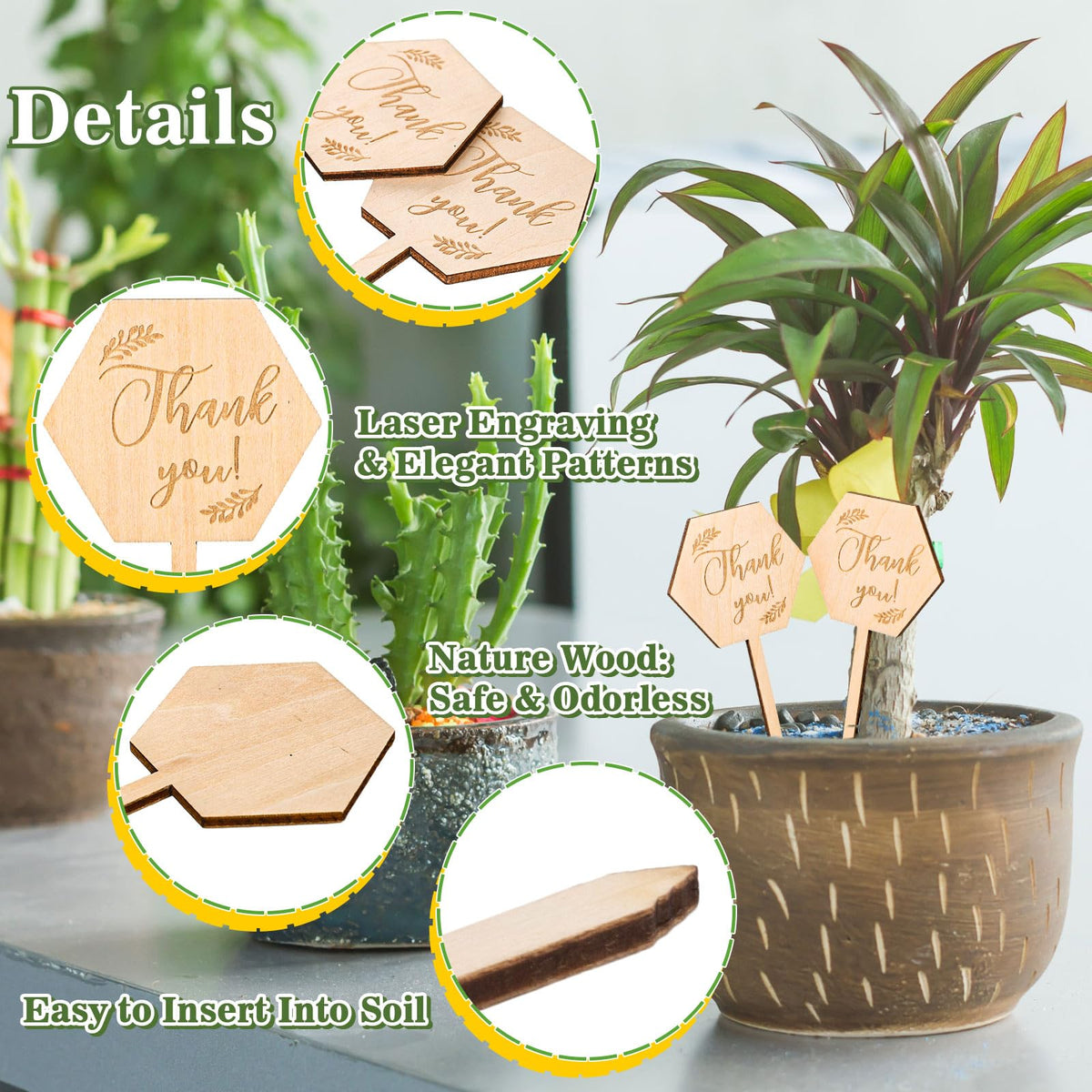 Generic wood plant label sized 5 x 9.53 cm fits most pots and seed trays