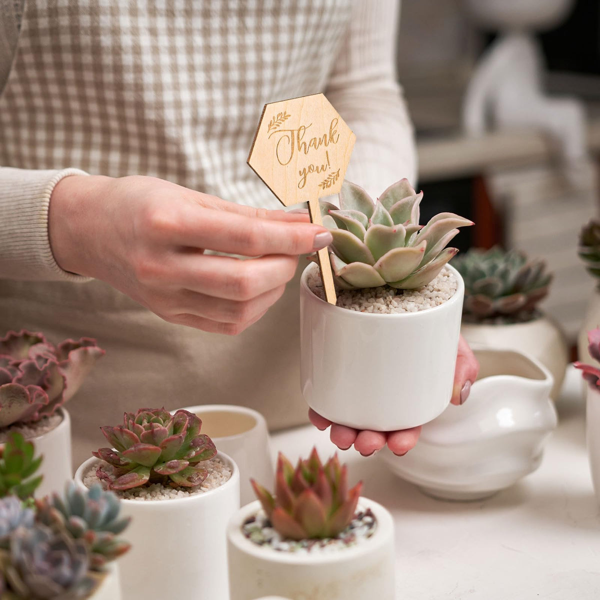 Generic Thank You plant tag makes a thoughtful teacher appreciation or wedding favor