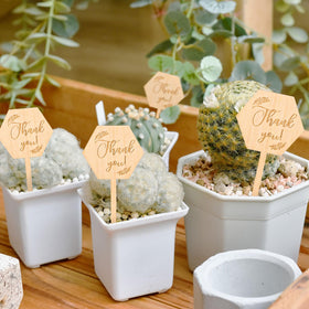 Generic plant markers ideal for baby showers, Thanksgiving, graduations and events