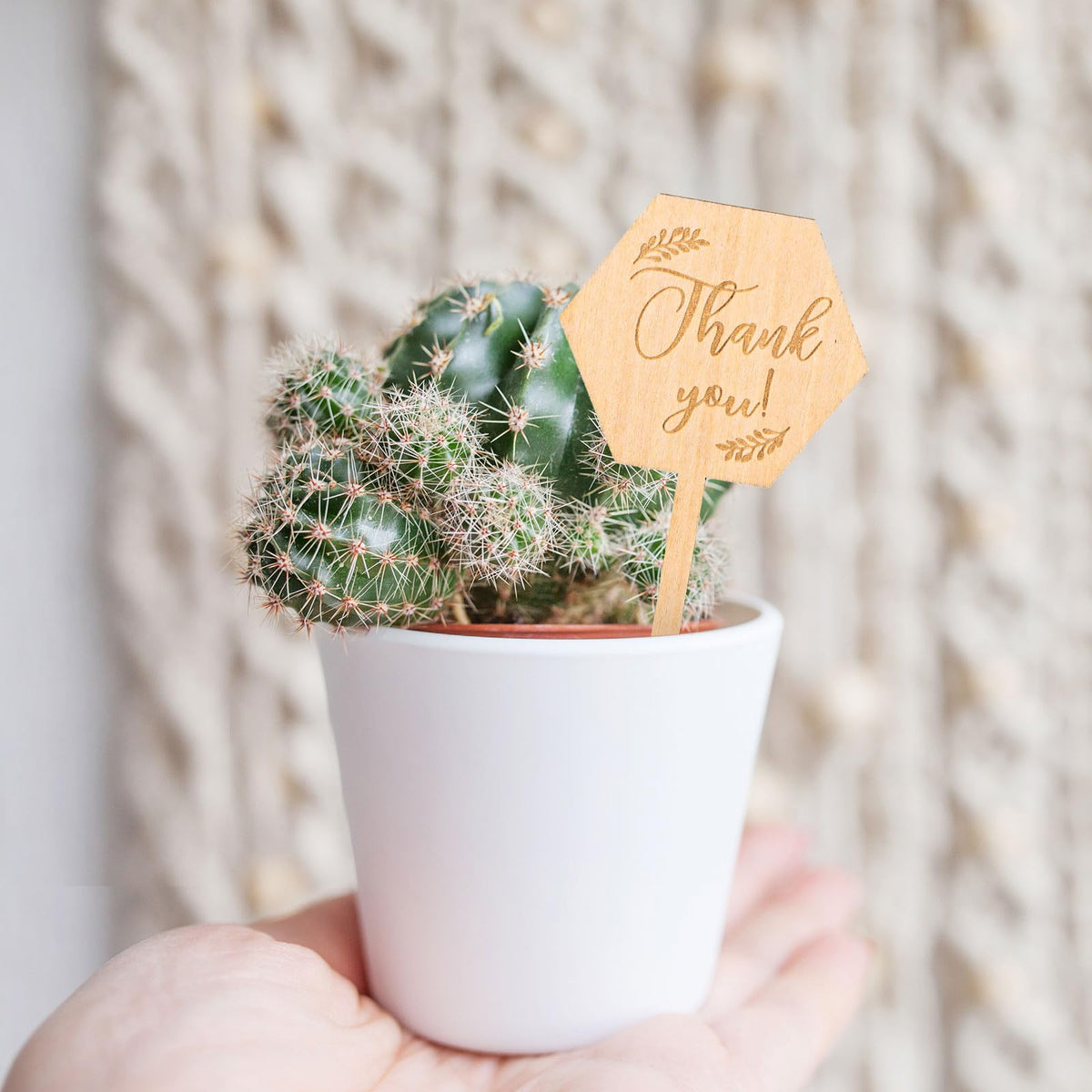 Generic 30 tags included for quick gifting and consistent garden decor
