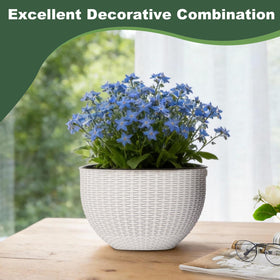 Generic flowers thrive in self-watering pot illustrating low-maintenance care.