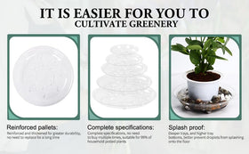 Generic 5-pack 10-inch drip tray clear focuses on water catchment and minimal visual disruption.