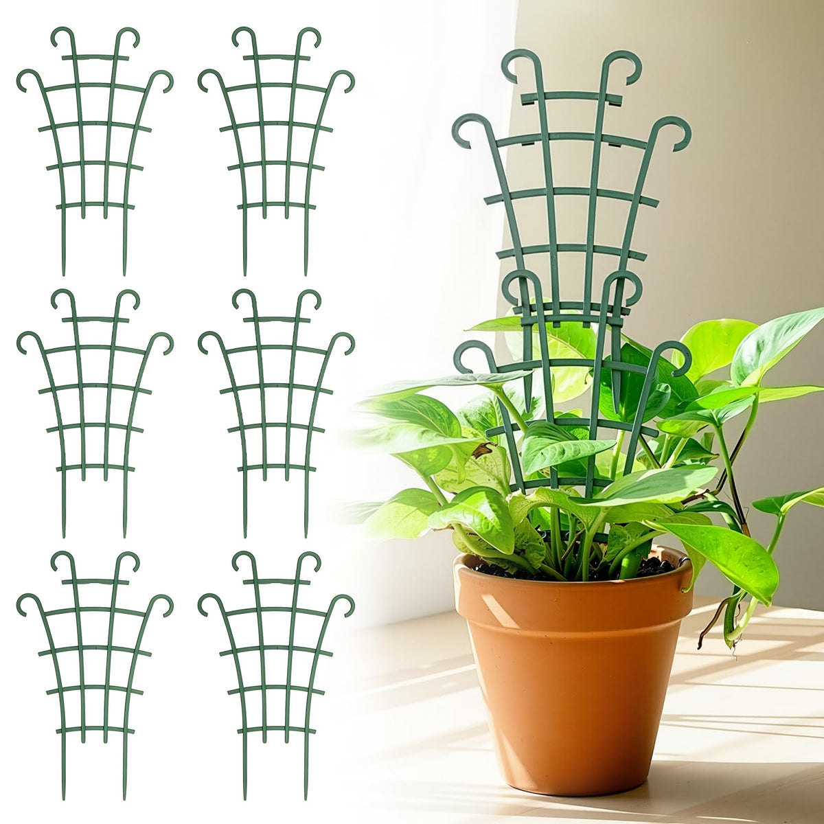 Generic six-piece indoor trellis stacked beside ivy for upright growth.