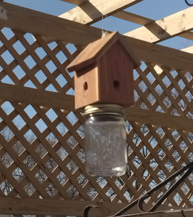 Generic amish-made rustic cedar trap outdoors hanging for carpenter bees control.
