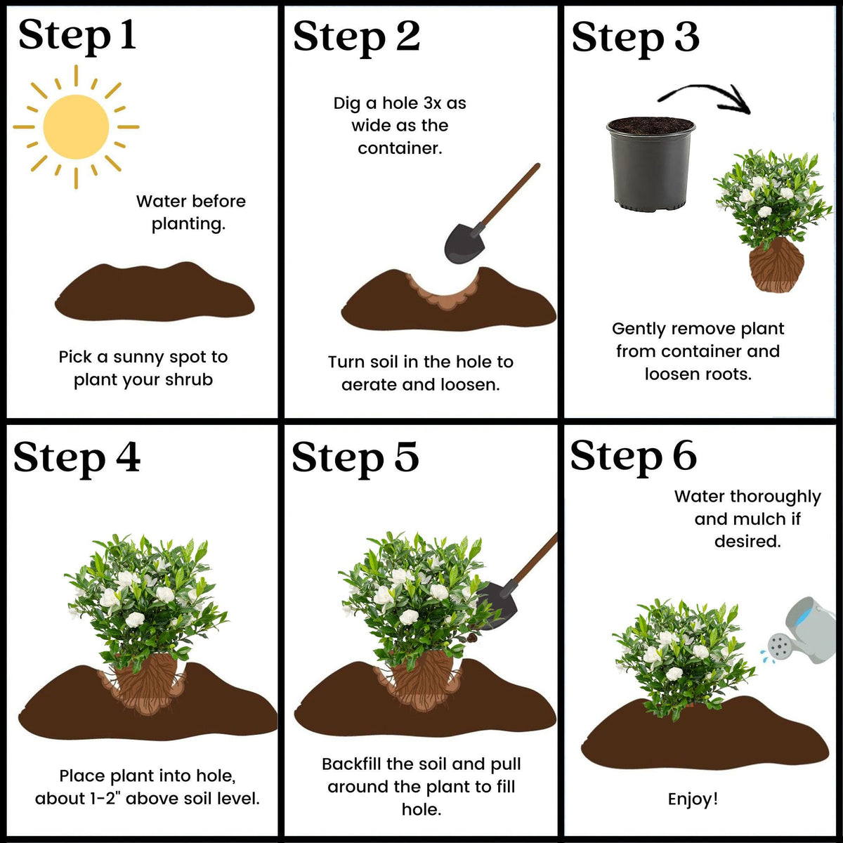 Mature size ranges to help plan landscape spacing.