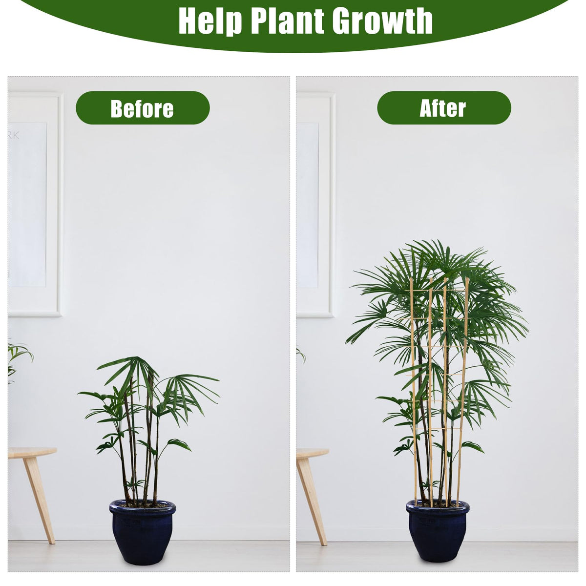 Generic bamboo trellis 3-pack provides multiple setups for a cohesive garden display.