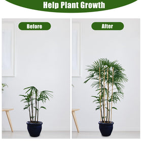 Generic bamboo trellis 3-pack provides multiple setups for a cohesive garden display.