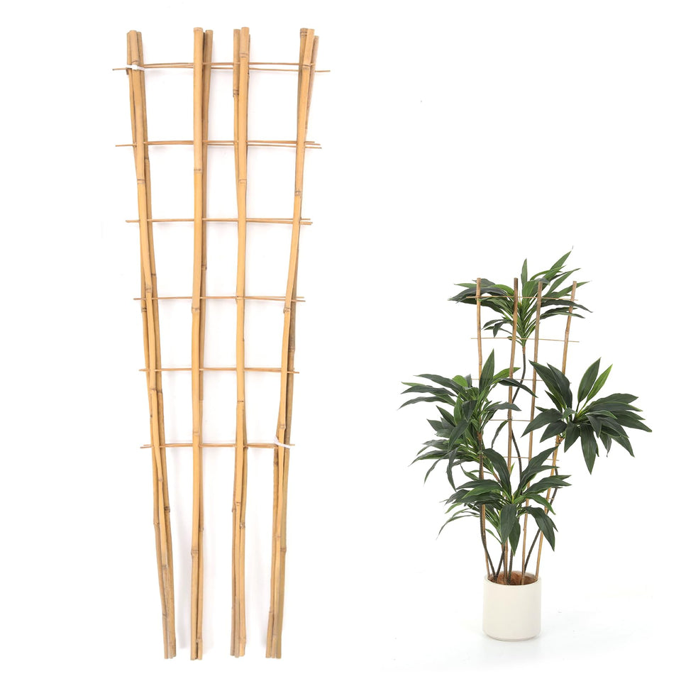 Generic Bamboo Trellis in pot supports climbing vines for neat vertical growth.