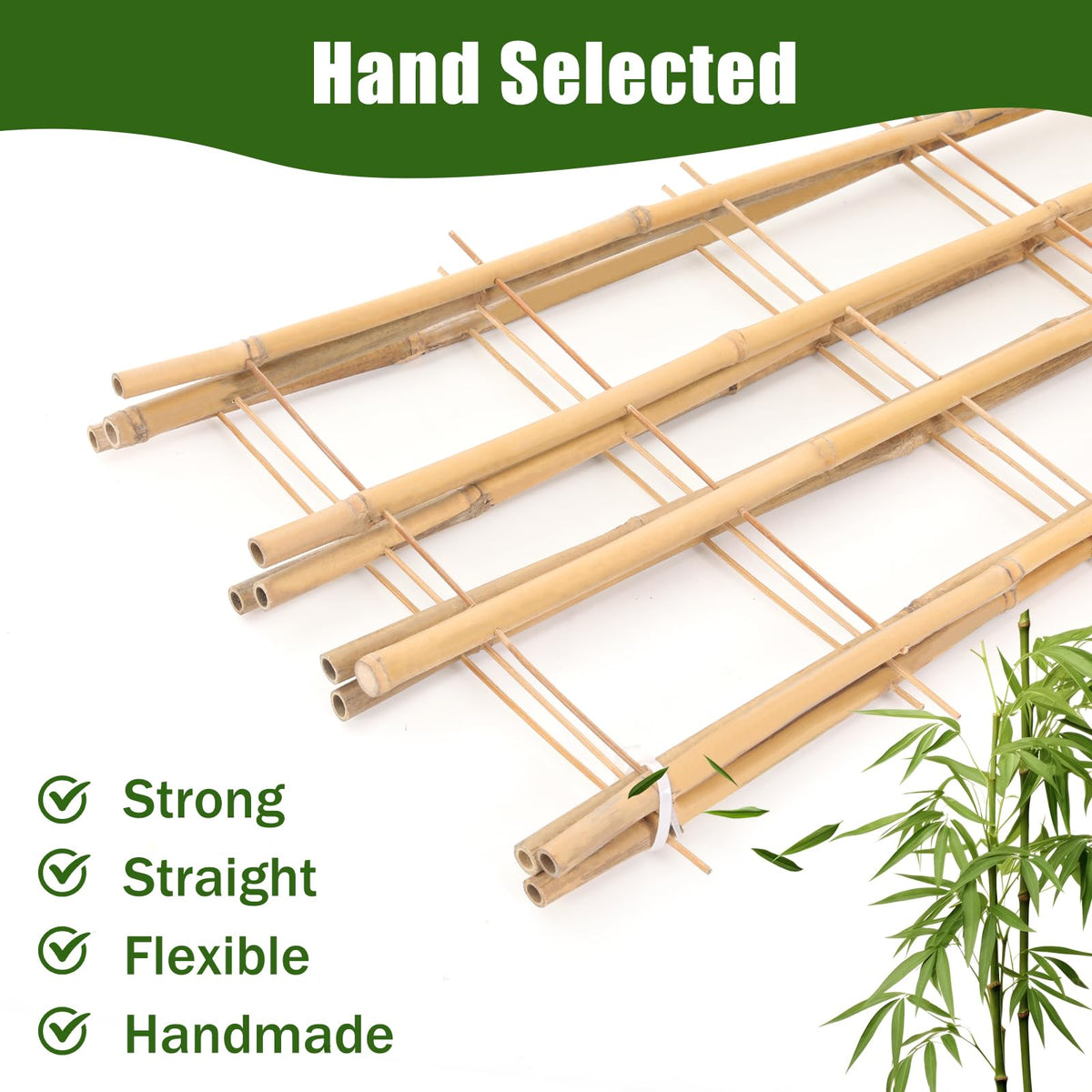 Generic bamboo trellis indoors or outdoors enhances plant display.