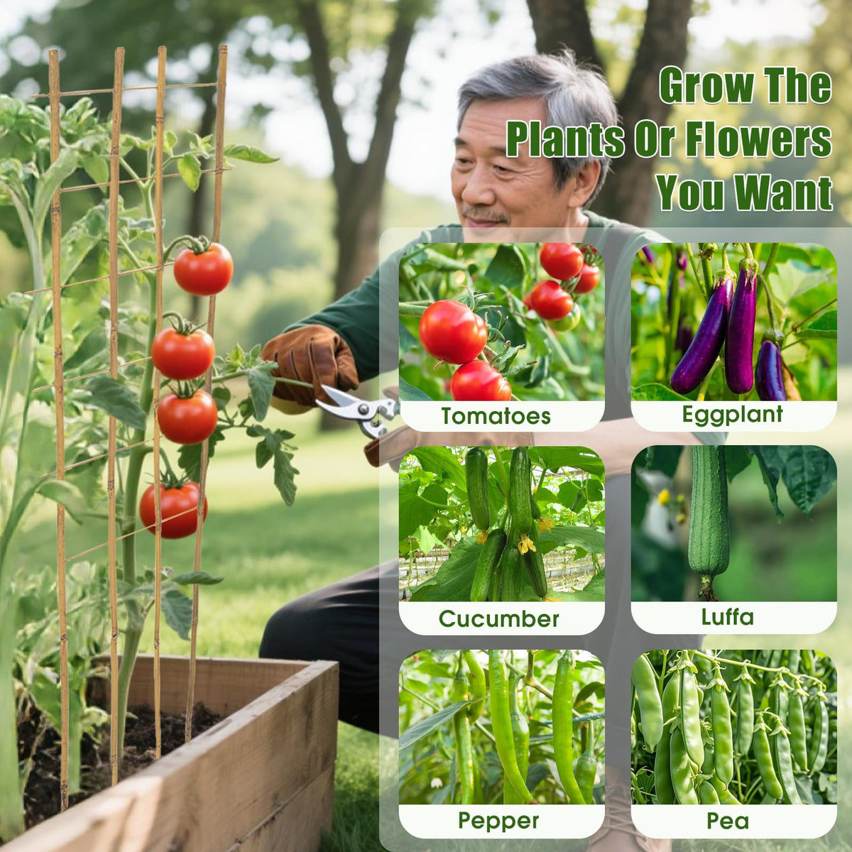 Generic bamboo trellis ladder-style design enables quick setup in pots.
